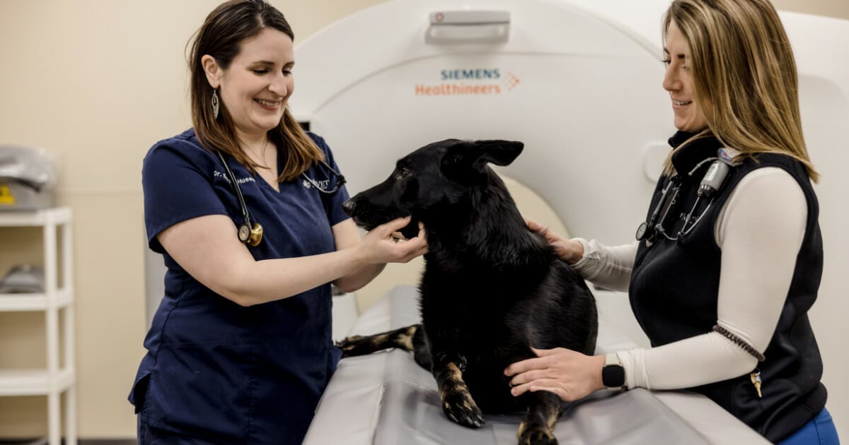 MRI machine at MedVet