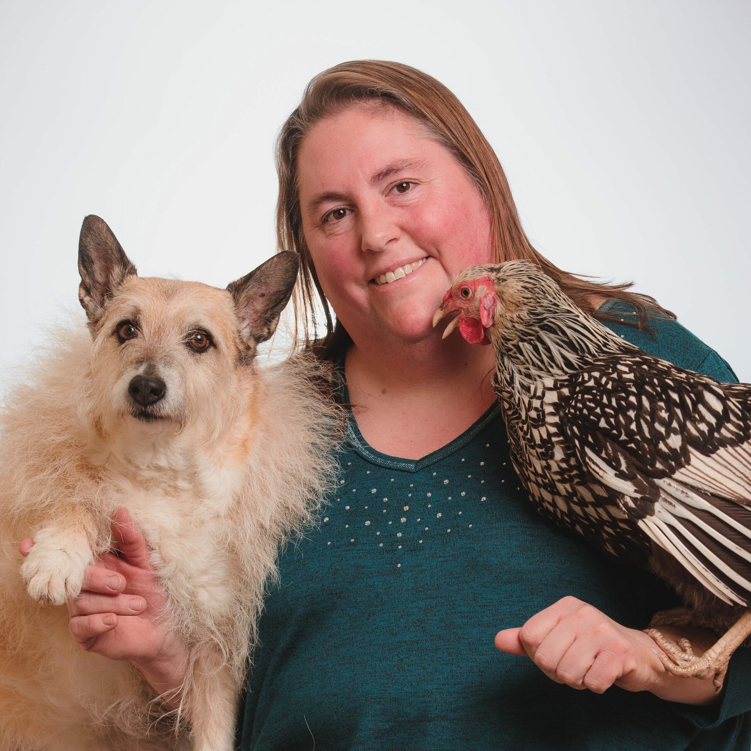 Wendy J. Kollar, DVM Emergency Medicine Veterinarian