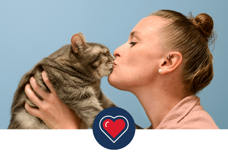 MedVet Core Value Compassion Veterinarian kisses cat