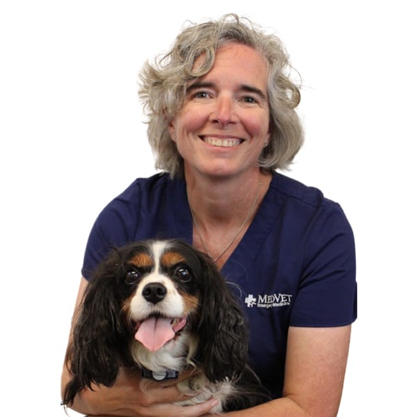 Dr. Laura Quinn with pet