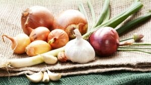 keep away onion garlic and chives from cats and dogs
