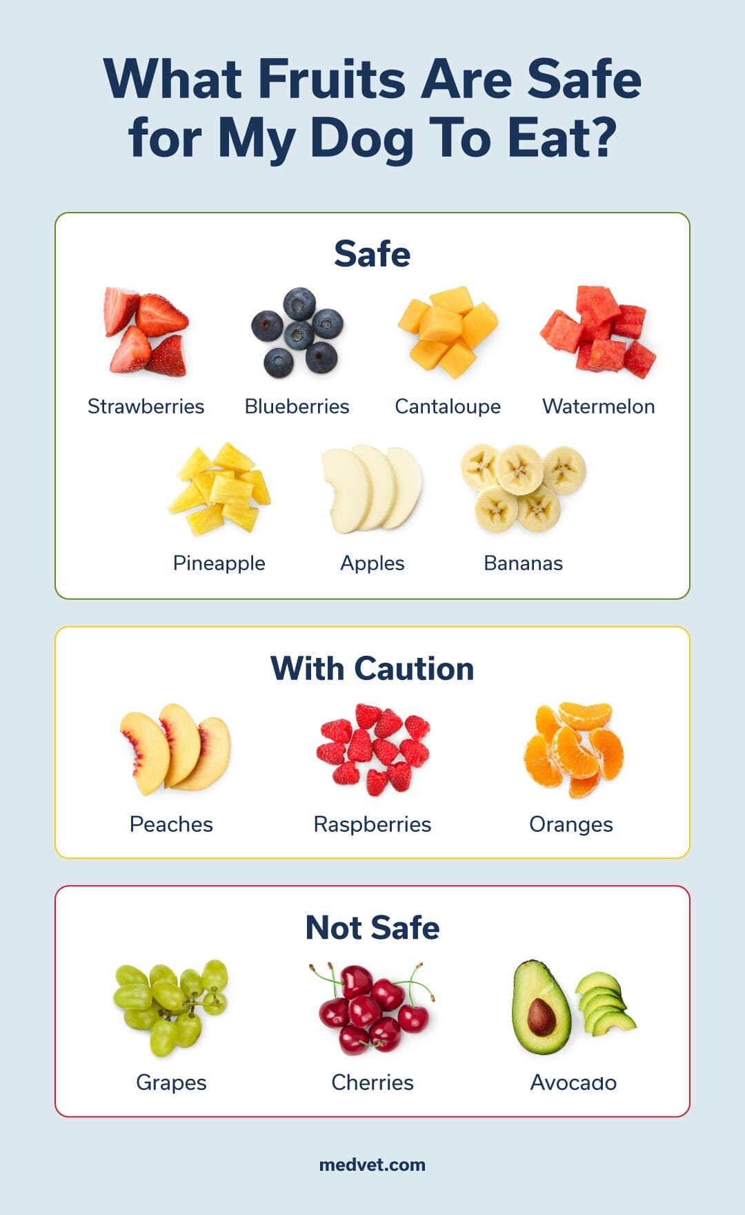 fruits safe for dogs to eat