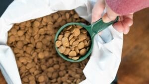 measure your pet food portion control calories