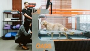 pet pain treatment rehabilitation water treadmill
